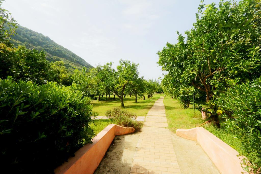 Aparthotel Residenza La Vigna Parghelia Exterior foto