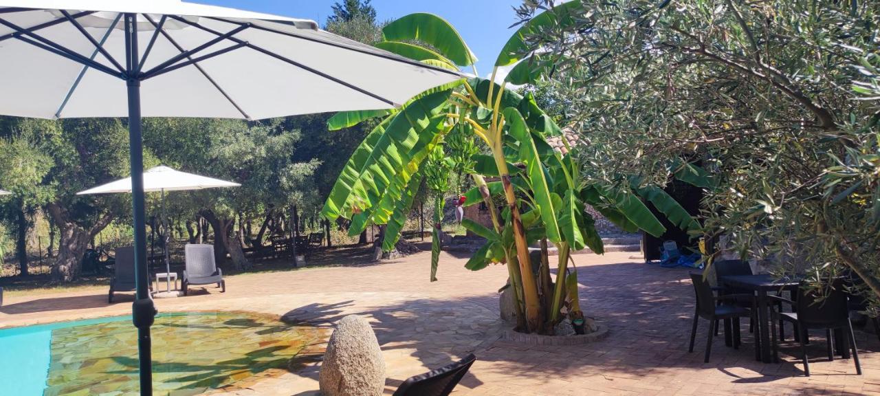 Aparthotel Residenza La Vigna Parghelia Exterior foto