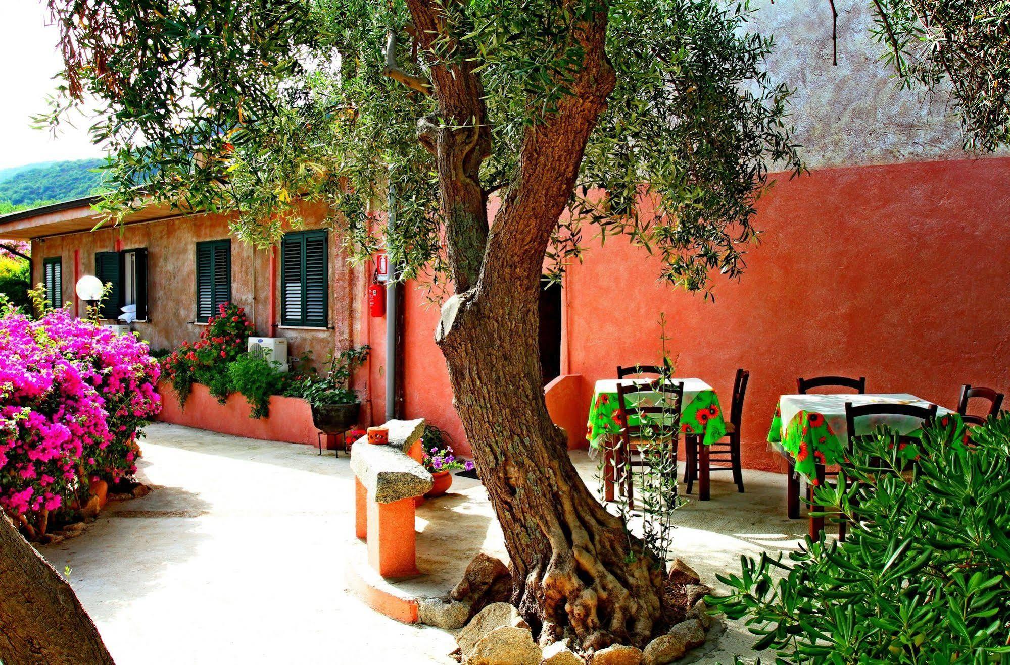 Aparthotel Residenza La Vigna Parghelia Exterior foto